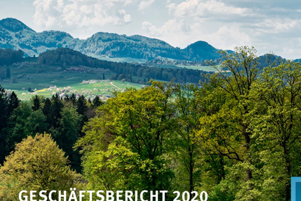 Der ADEV Jahresbericht 2020 ist auf der Homepage