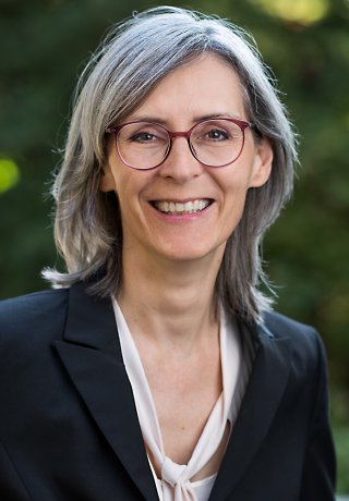 Vettori