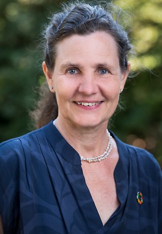 Schaffner