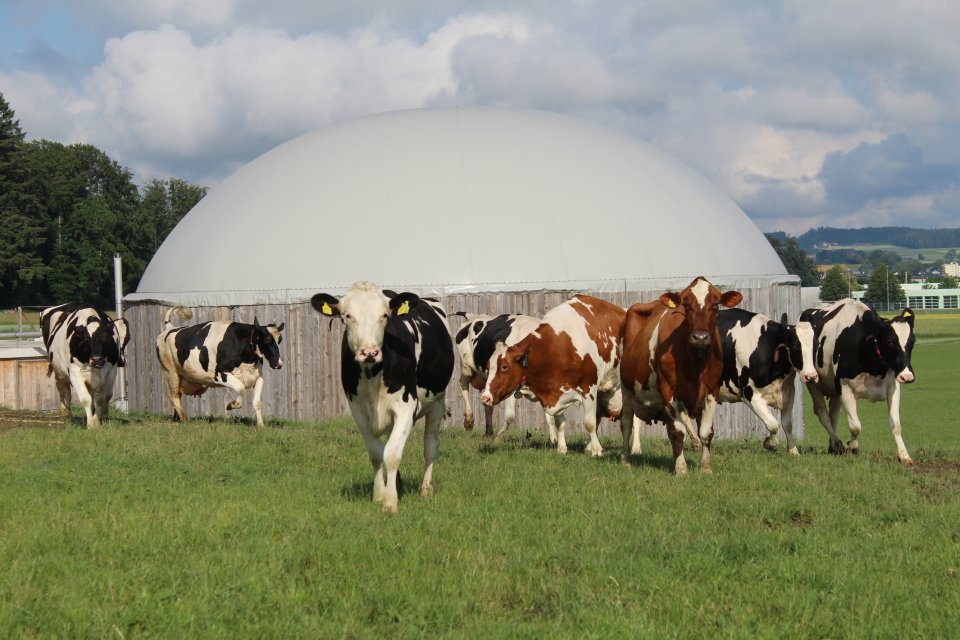 ADEV verdoppelt Anteil des Biogases