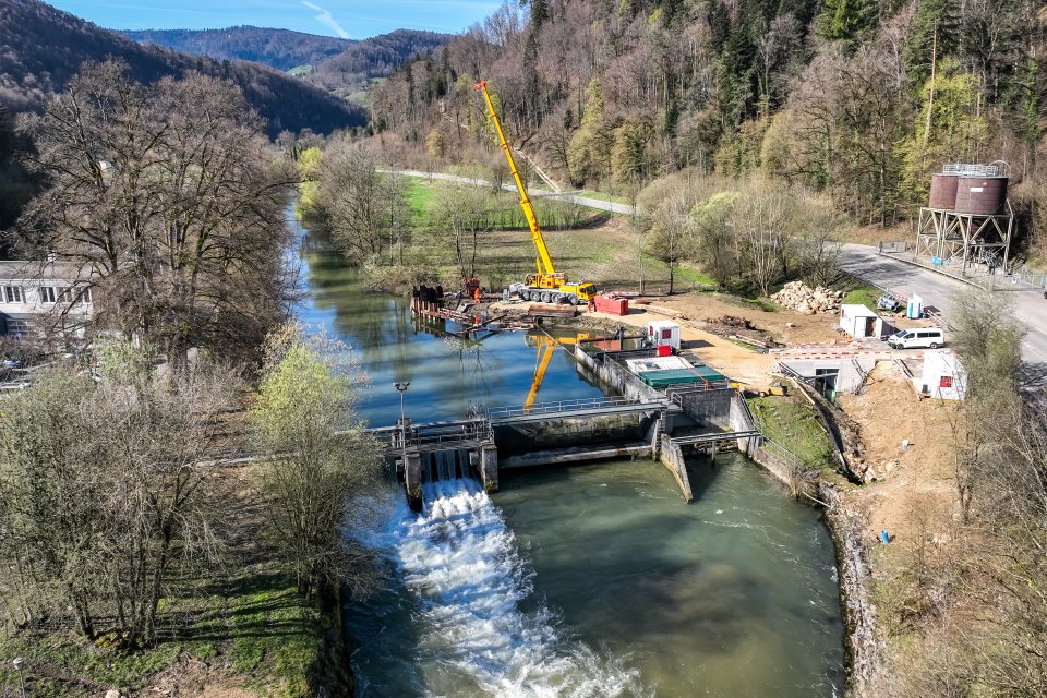 Bahn frei für die Fische