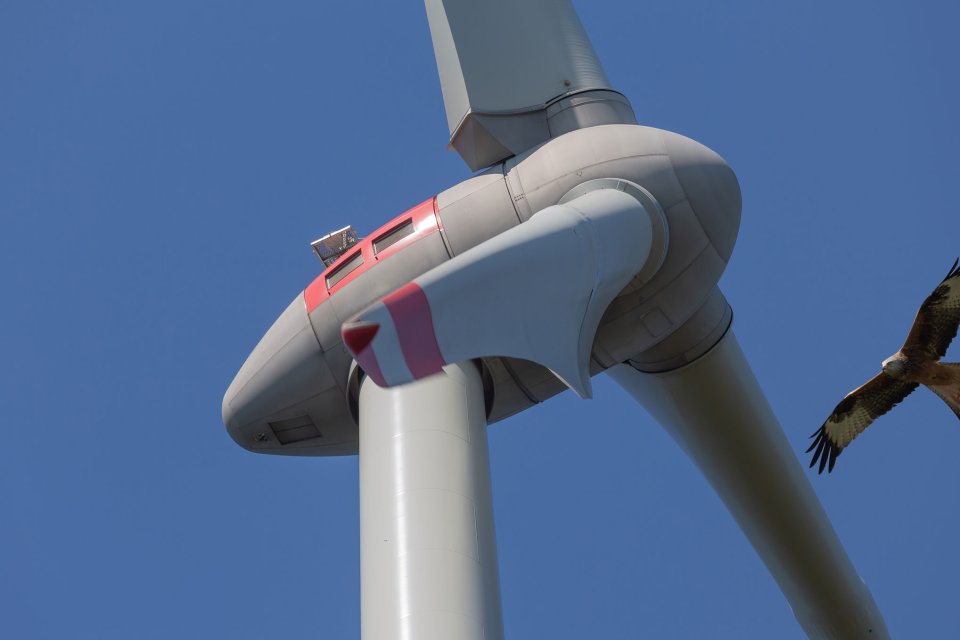 News kompakt: ADEV aktuell 01/2024 ist da!